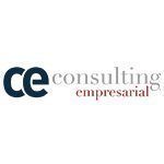 ce consulting